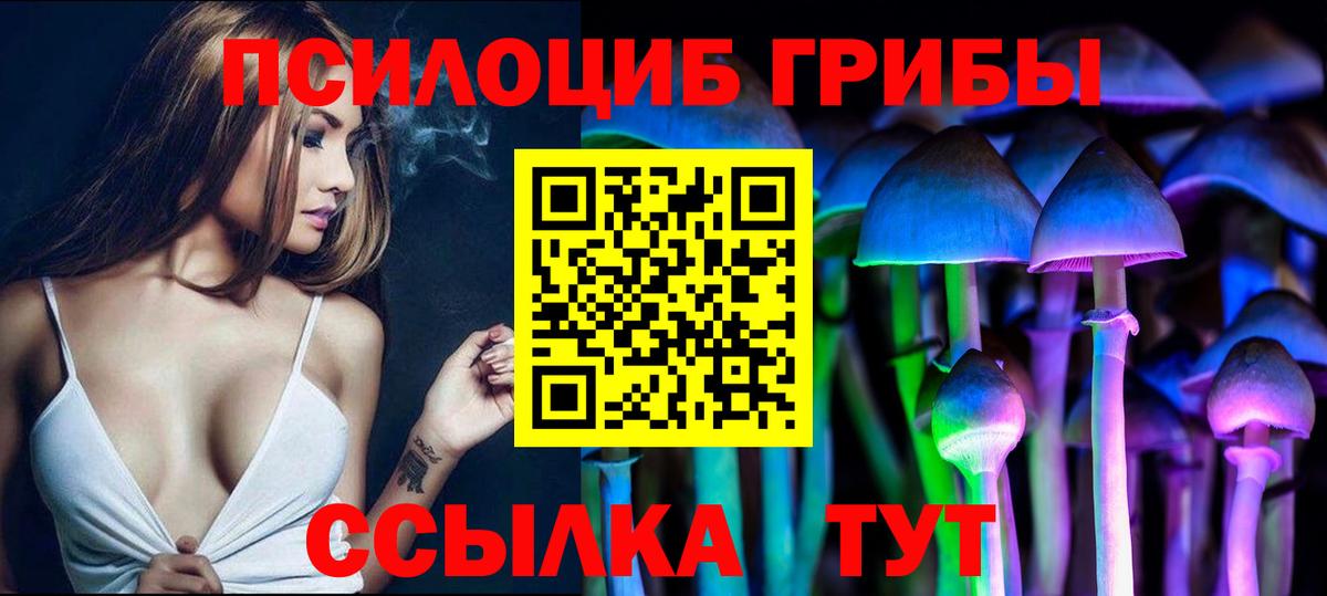 Галлюциногенные грибы Psilocybine cubensis  Галлюциногенные грибы Cubensis  Ржев  Вход с VPN 
