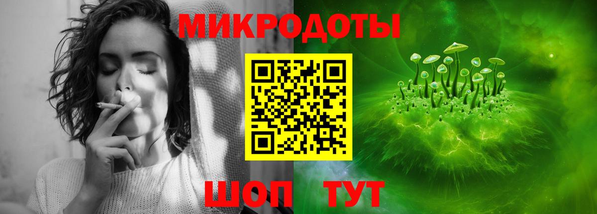 Псилоцибиновые грибы Psilocybe Ржев